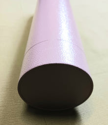 Ludlum Model 44-10 2 inch NaI Detector